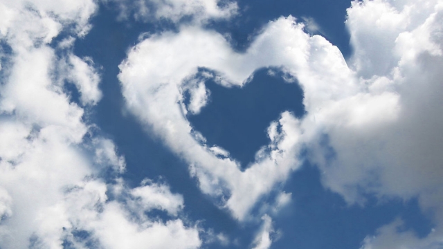 米乐M6公司：多功能室内健身器材有哪些